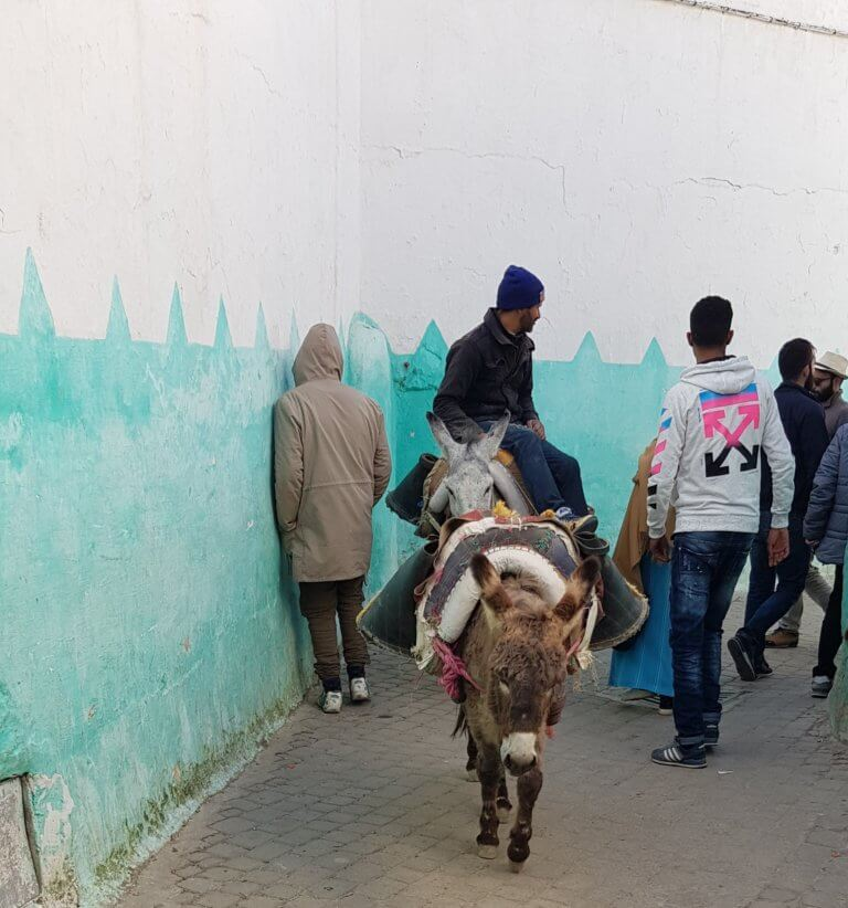 A rider on a donkey passes pedestrians along a turquoise-and-white wall in Moulay Idriss.