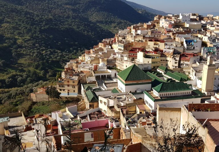 Green-roofed sanctuary of Idris I among hillside buildings in Moulay Idriss, with a forested mountain behind.