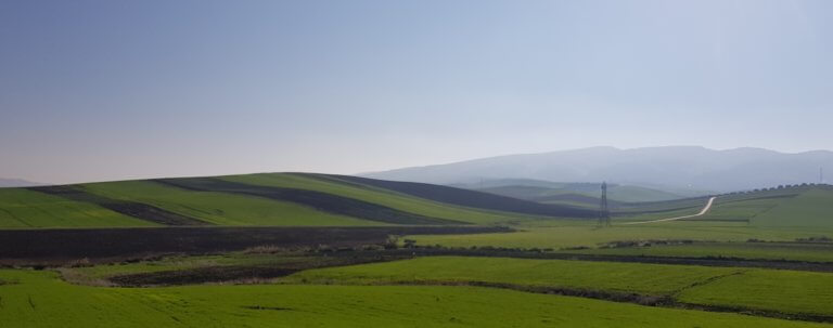 Green fields and rolling hills near Moulay Idriss, Morocco.