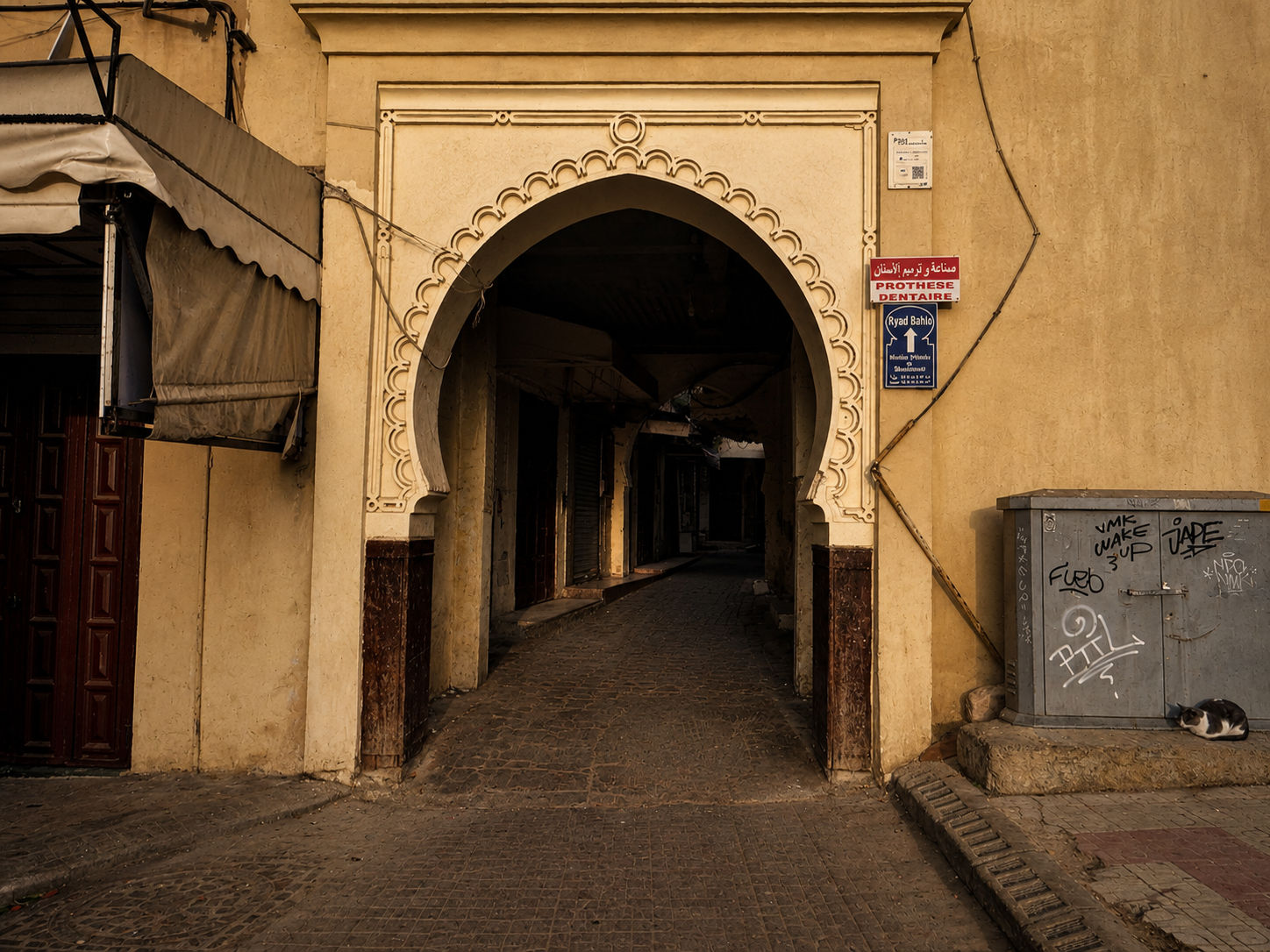 Ornate arched entrance to a narrow cobbled alley in Meknes medina, with signs and a cat beside it.