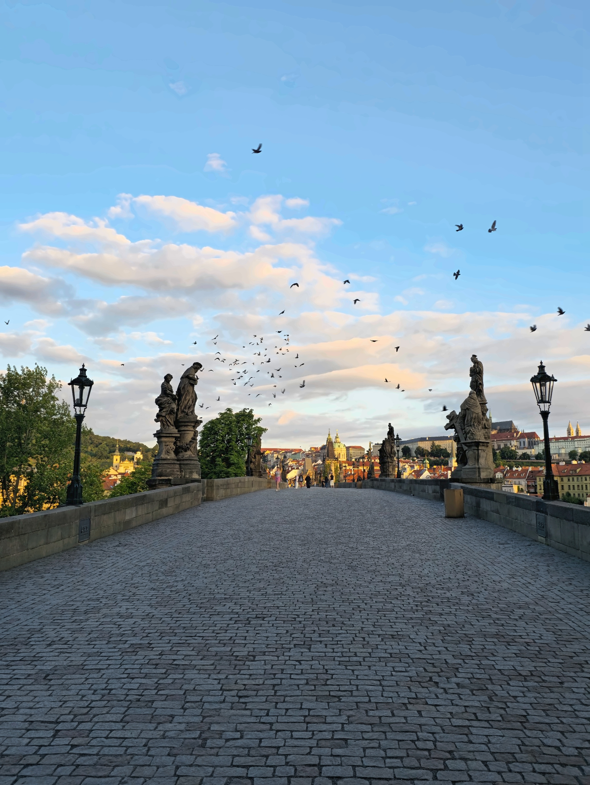 Empty cobblestone walkway on Prague’s Charles Bridge, lined with statues and lamps beneath a flock of birds.