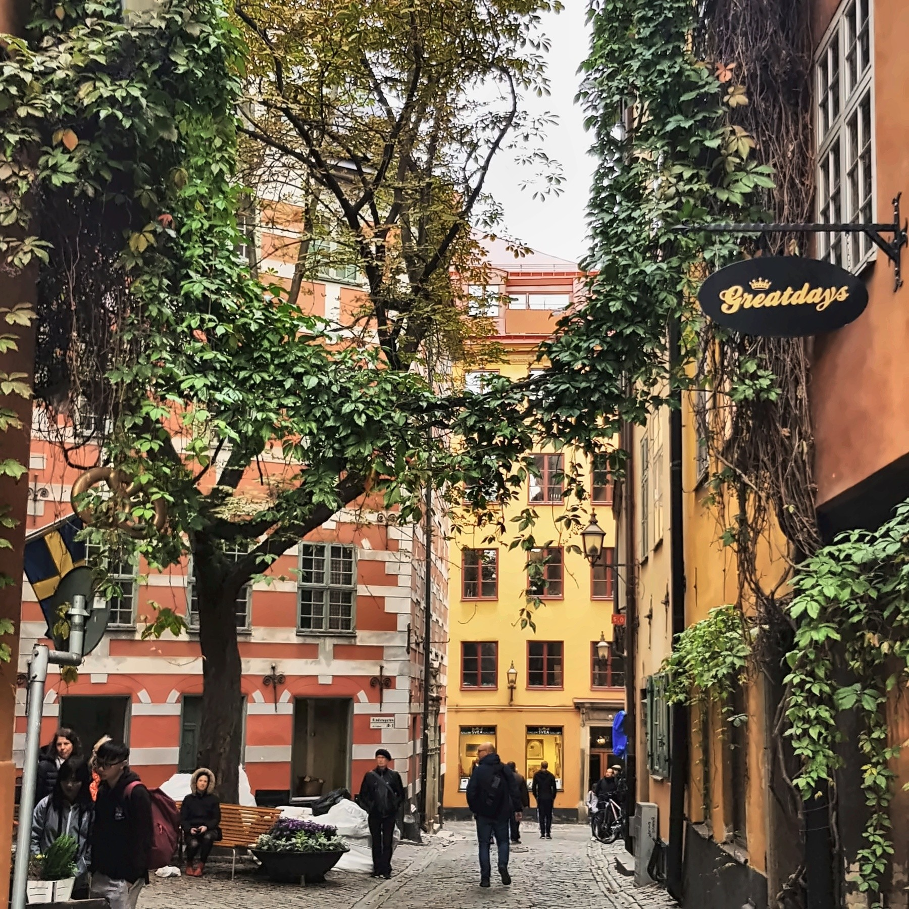 Pedestrians walk along a cobbled, ivy-lined street in Gamla Stan, Stockholm, between colorful historic buildings.