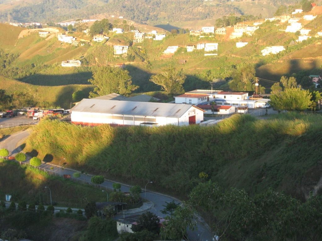 Wednesday Walk and Make Me Smile: A simple and somewhat improvised walk