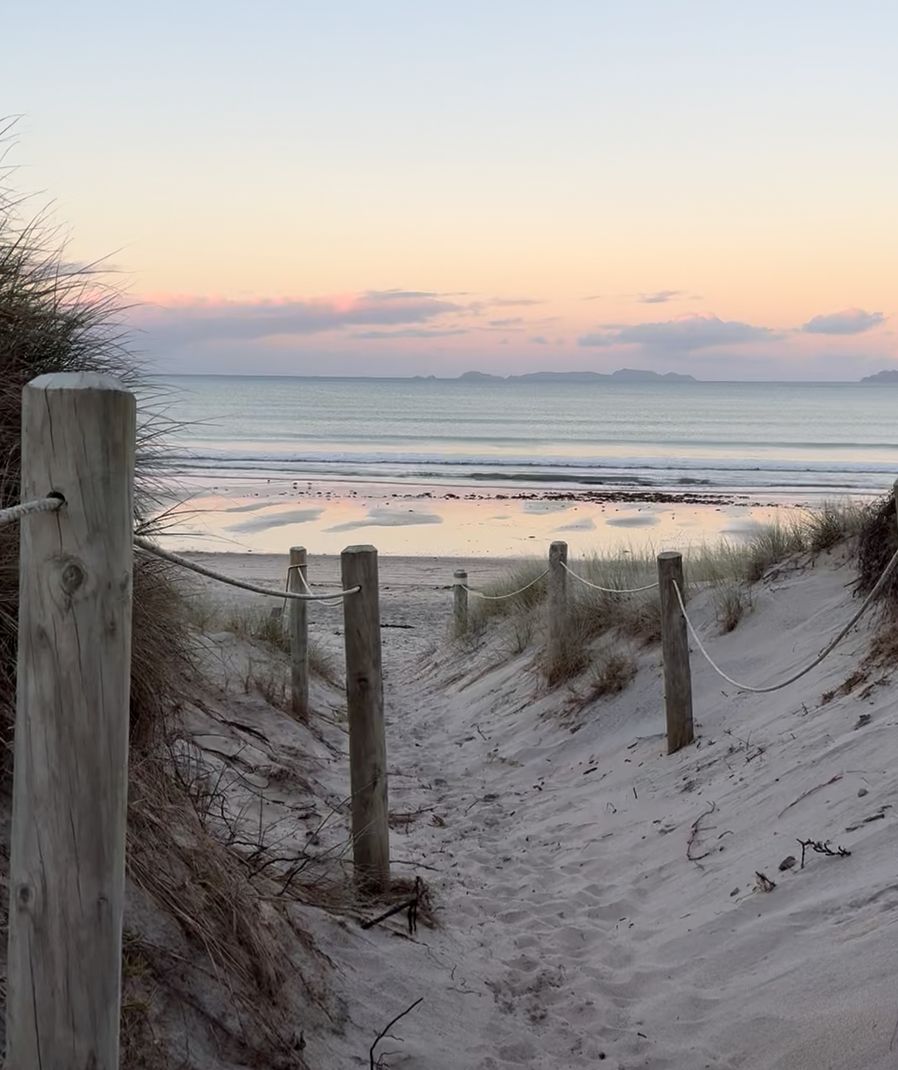 “New Zealand Stroll Diary ”