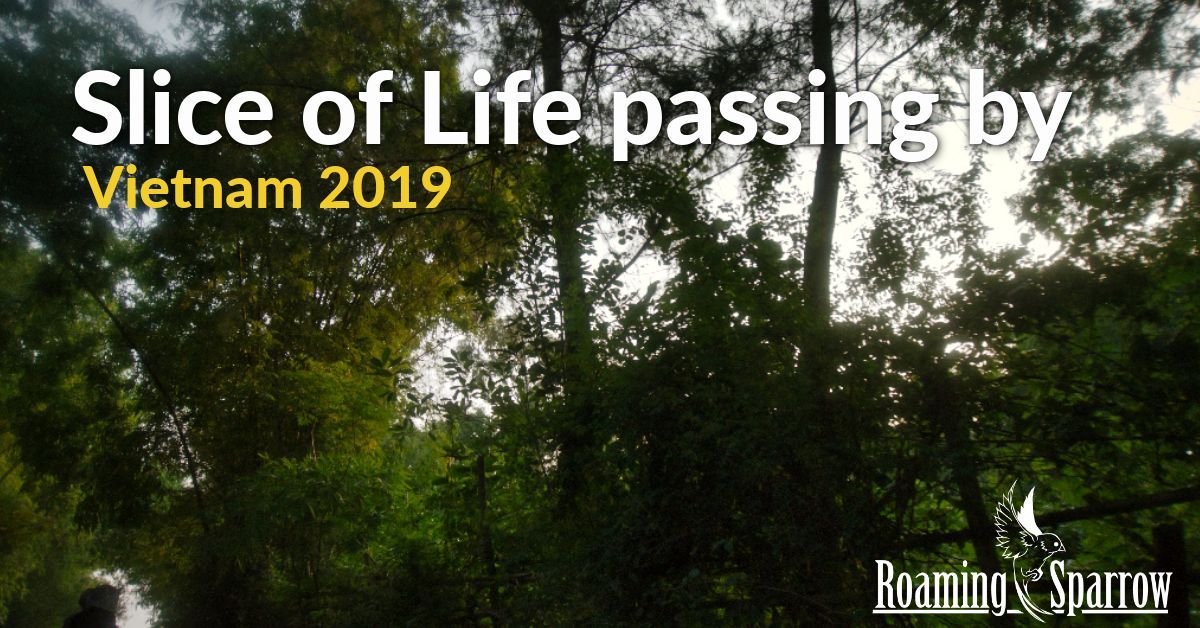 Slice of life passing by in Vietnam