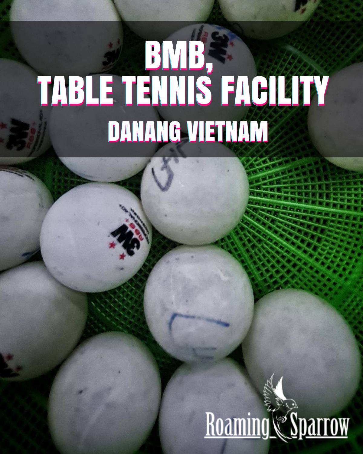 BMB, Table Tennis Facility, Danang, Vietnam 
