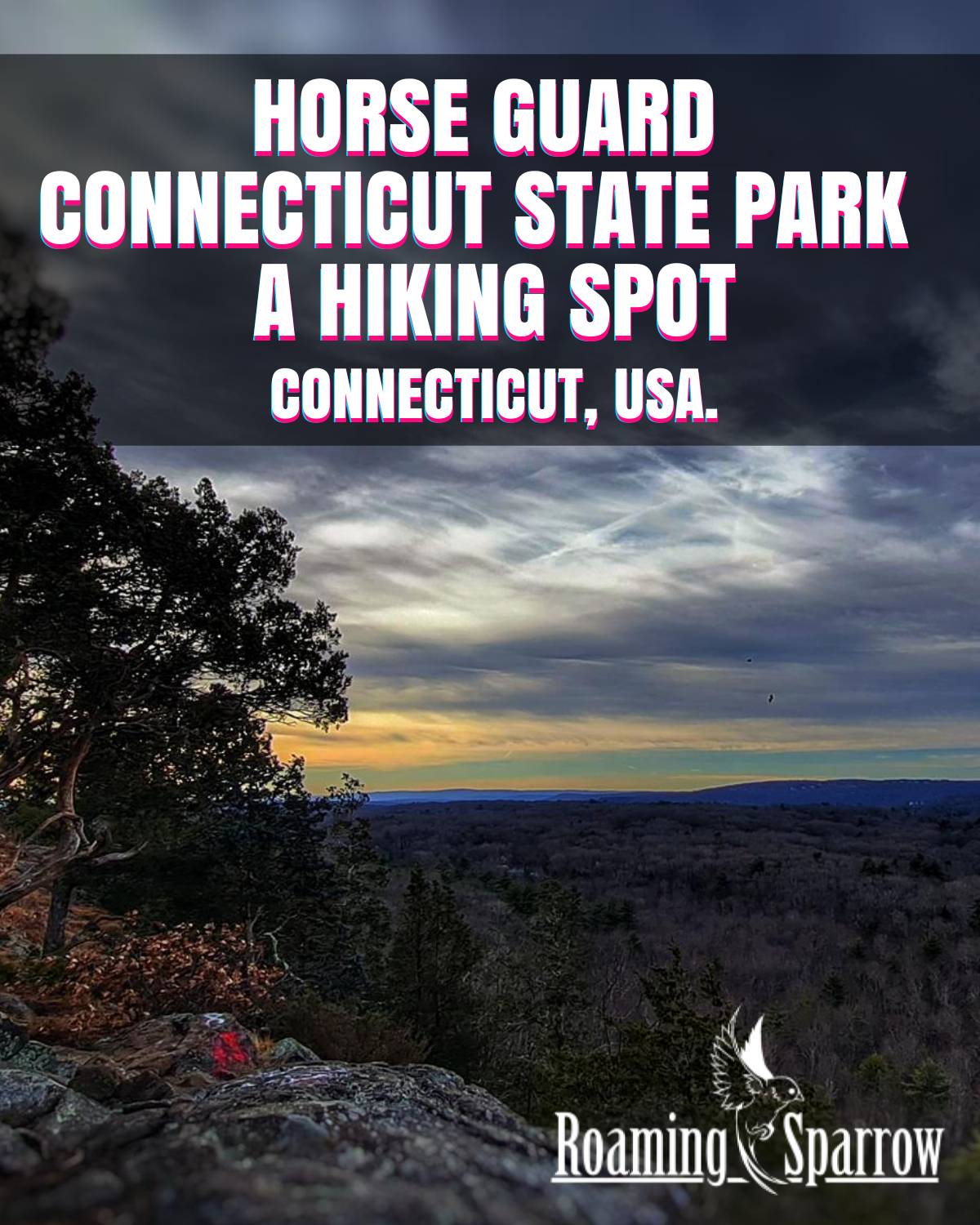 Horse Guard Connecticut State Park : A Hiking Spot 