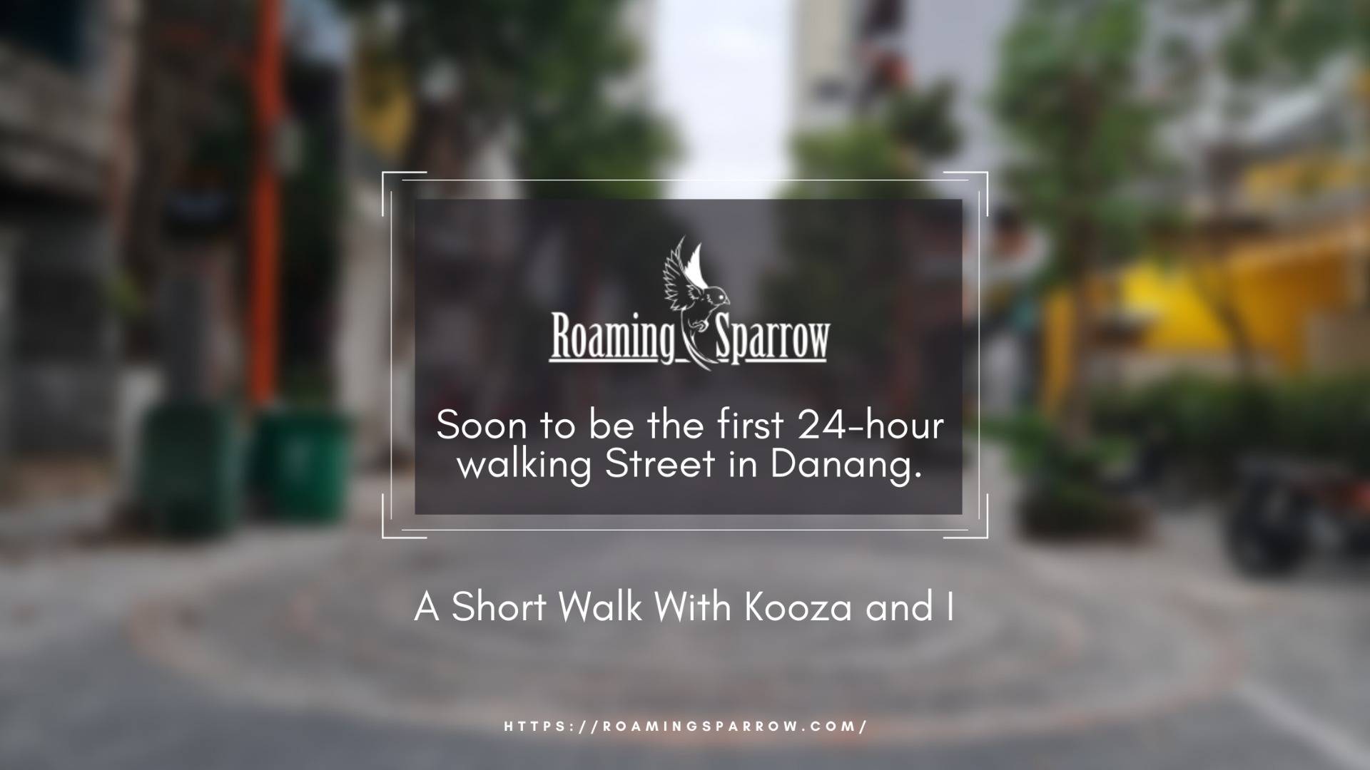 Soon to be the first 24-hour walking Street in Danang.