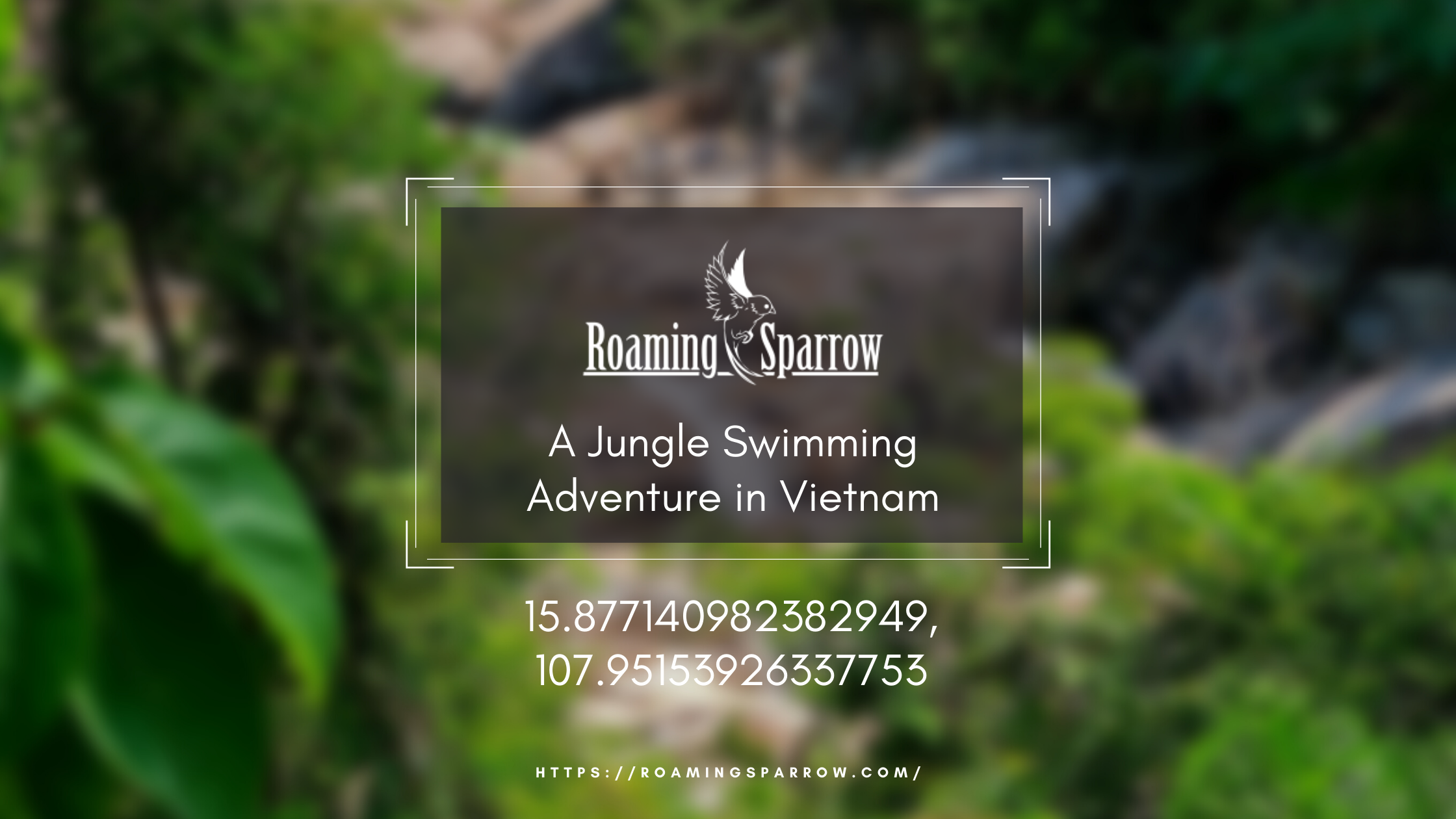 Jungle.png