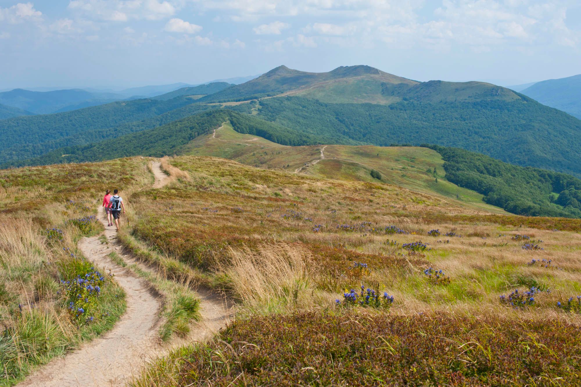 A magical trip to the peaks of the Bieszczady Mountains (EN)