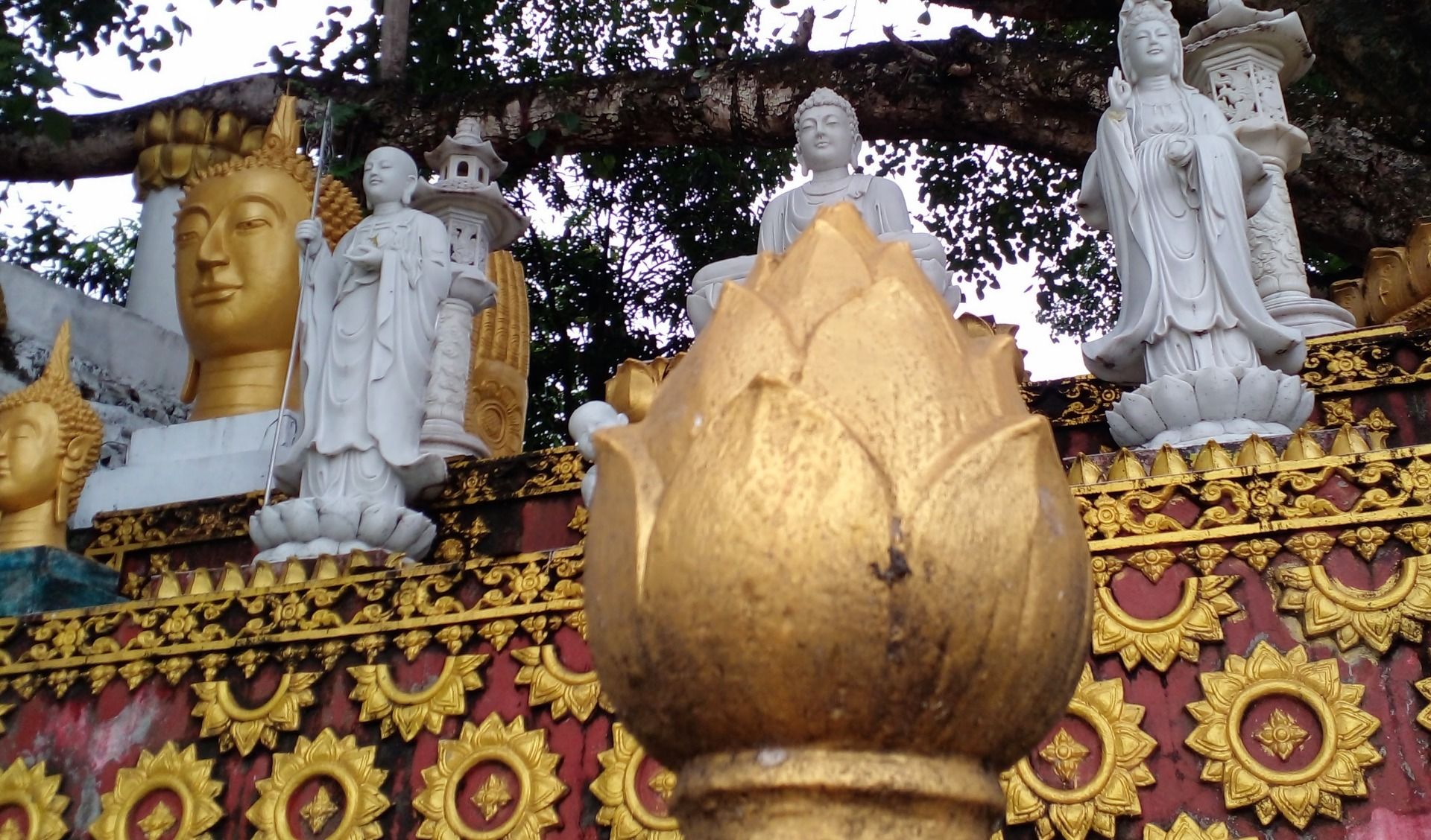 May Buddha bless you.