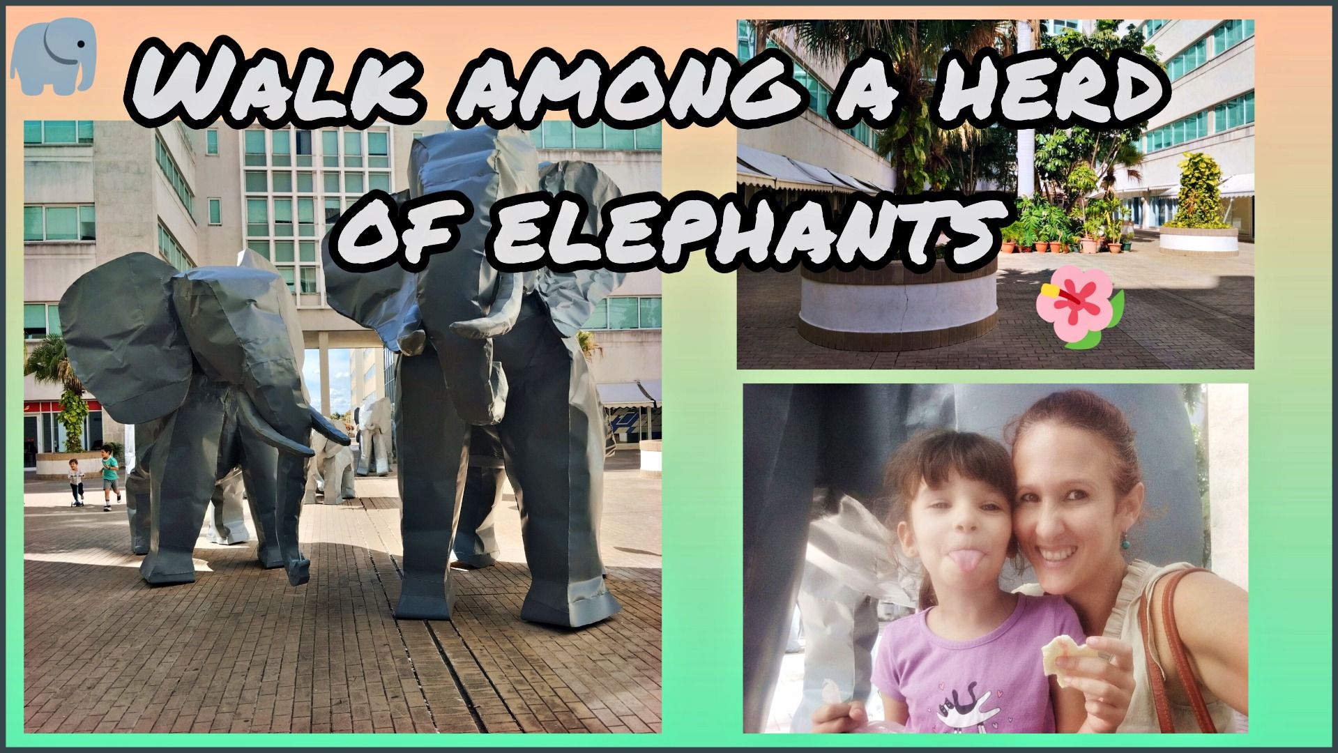 Walk among a herd of Elephants [EN/ES]