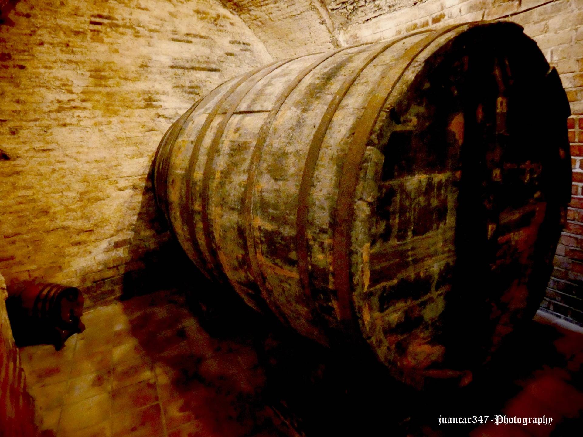 Toneles gigantes capaces de albergar miles de litros de vino