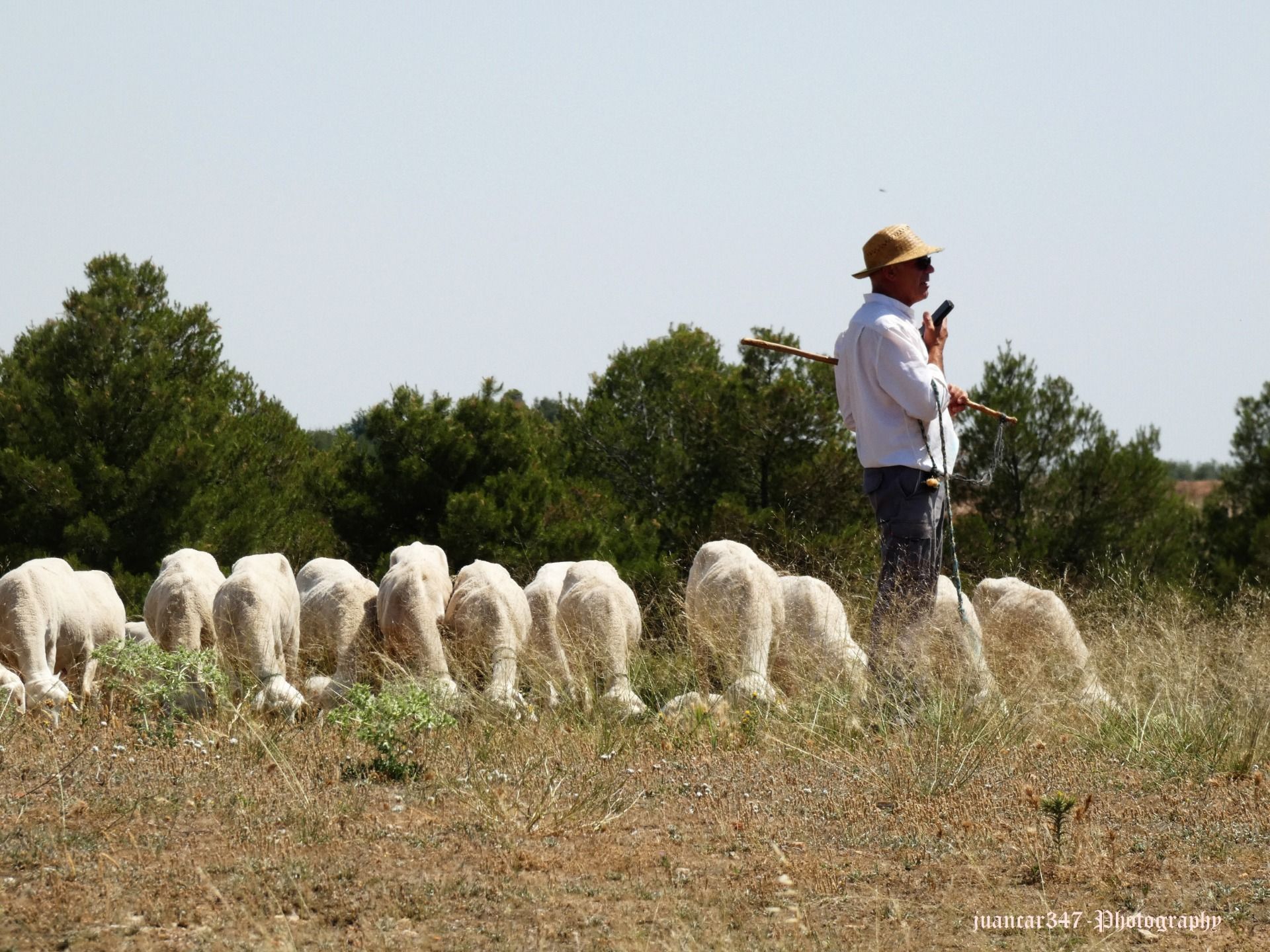 The origin of a typical La Mancha product: cheese