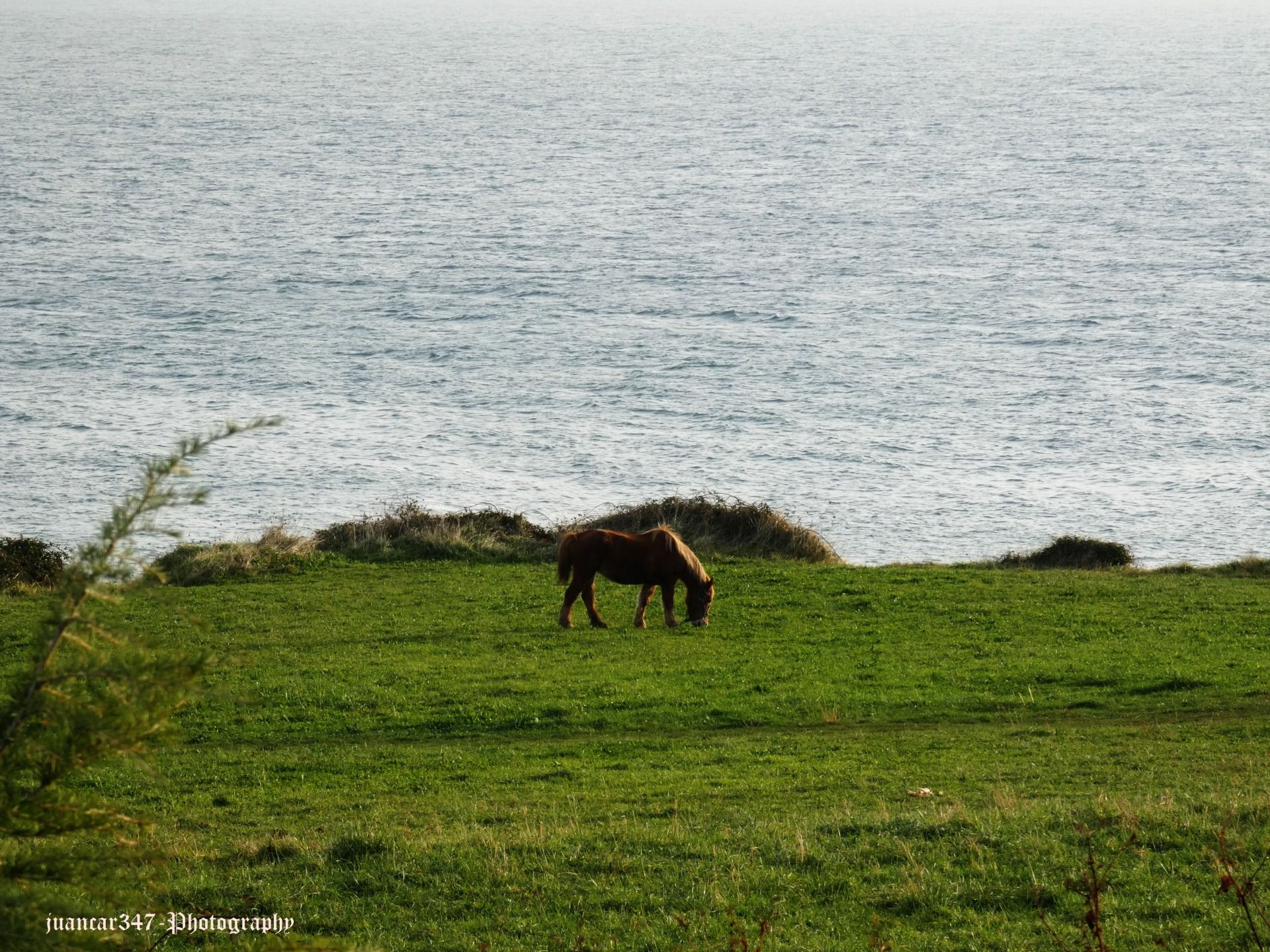 On the edge of a sea of character: the Cantabrian Sea