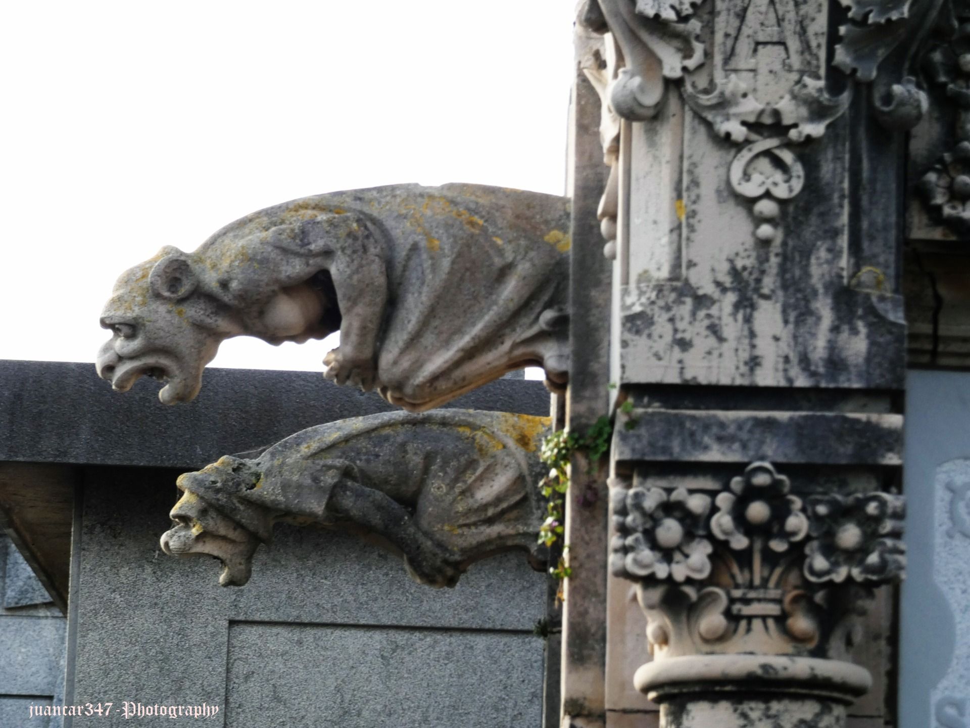 Neo-gothic gargoyles