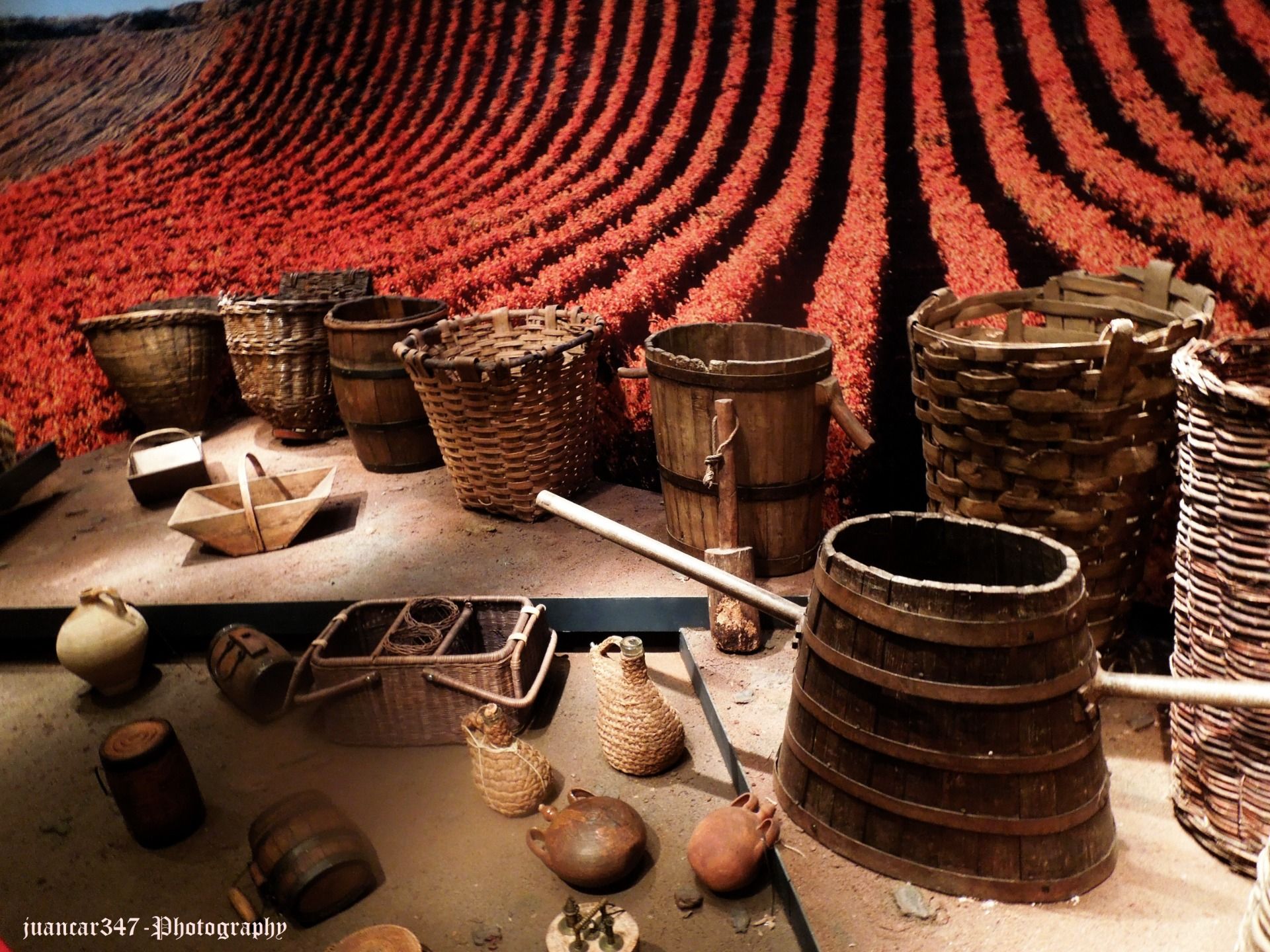 Visiting a Riojan winery: Vivanco
