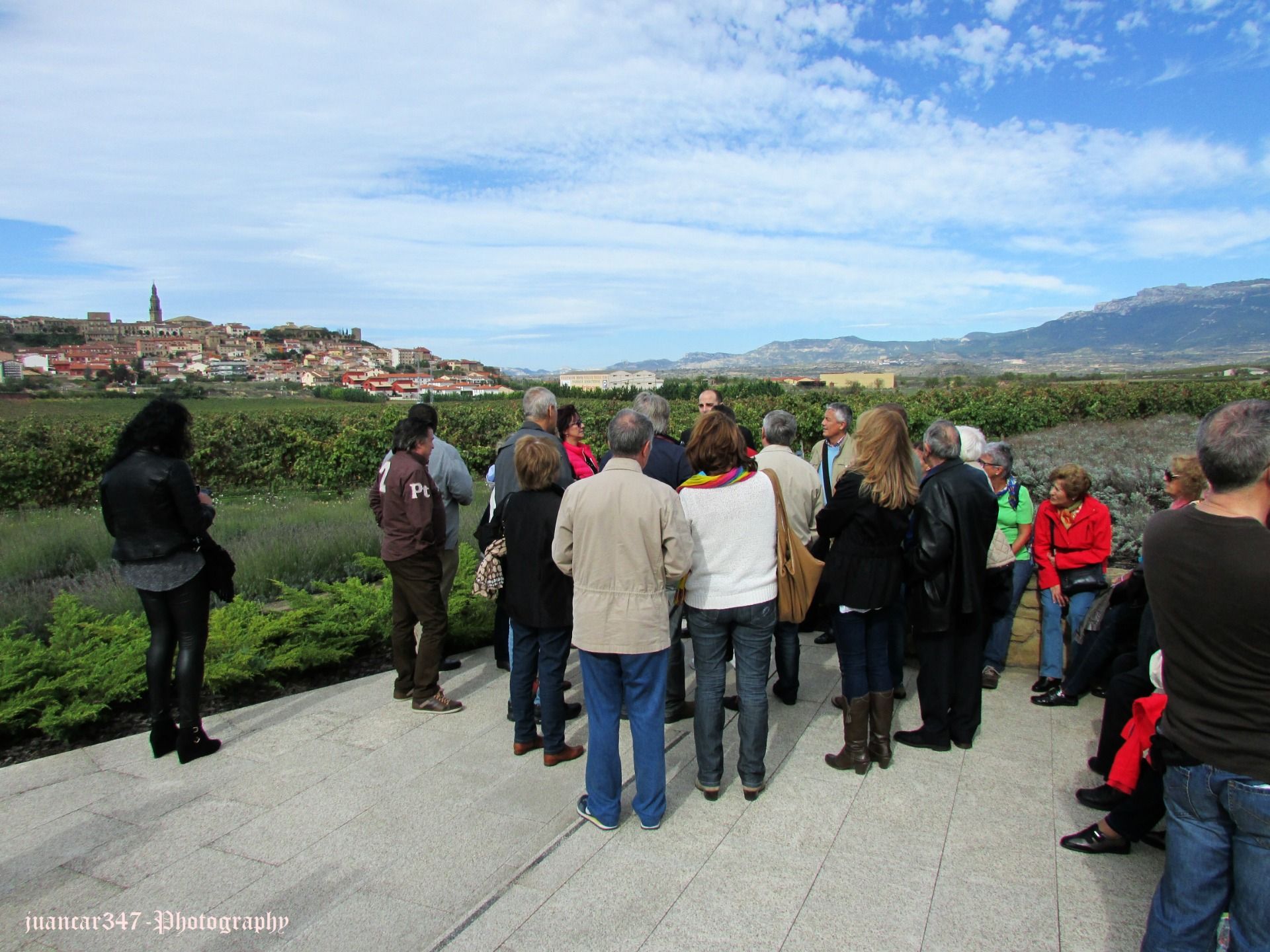 Panoramic view of the town of Briones from the wineries