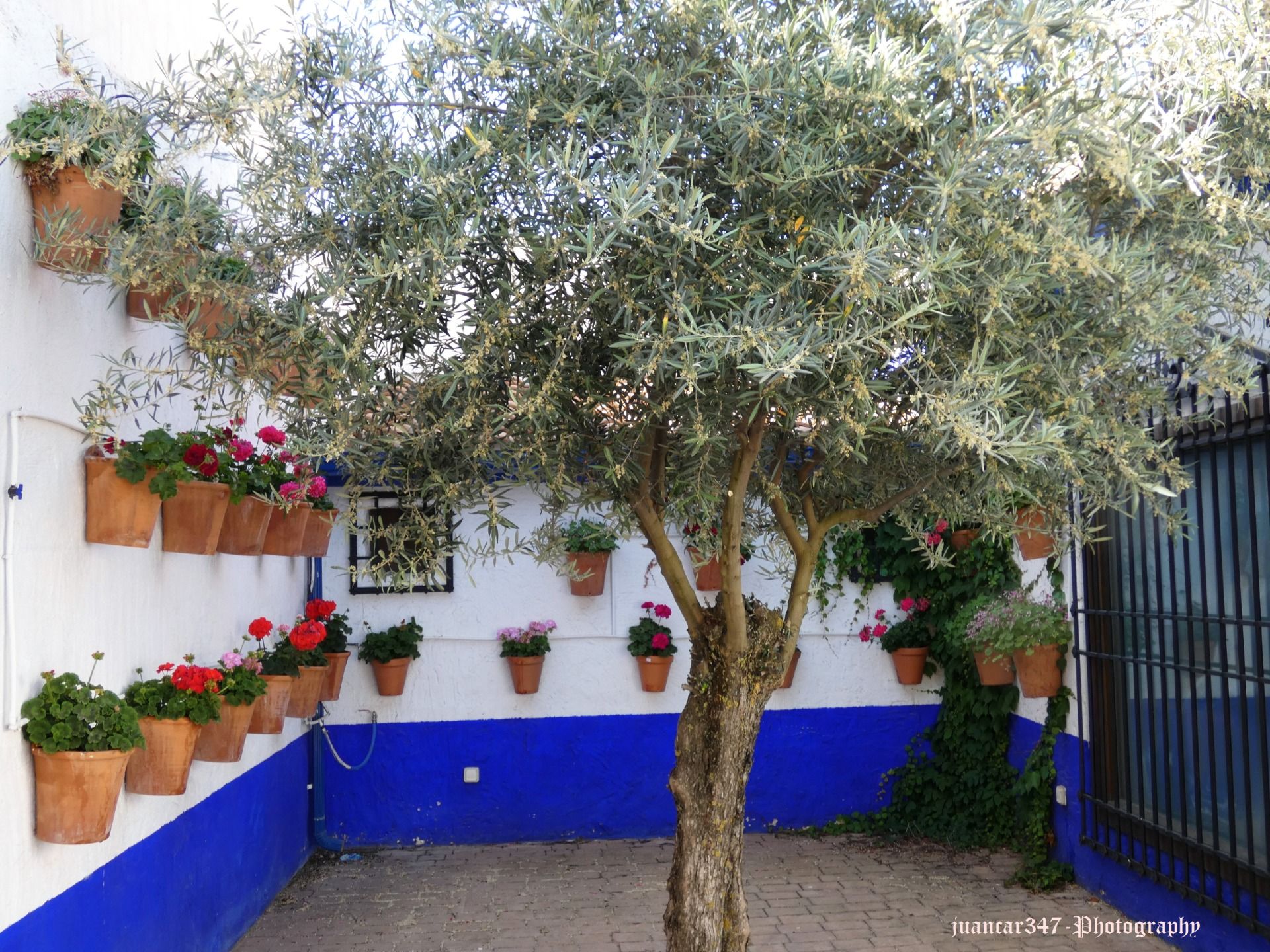 Small yard of La Mancha