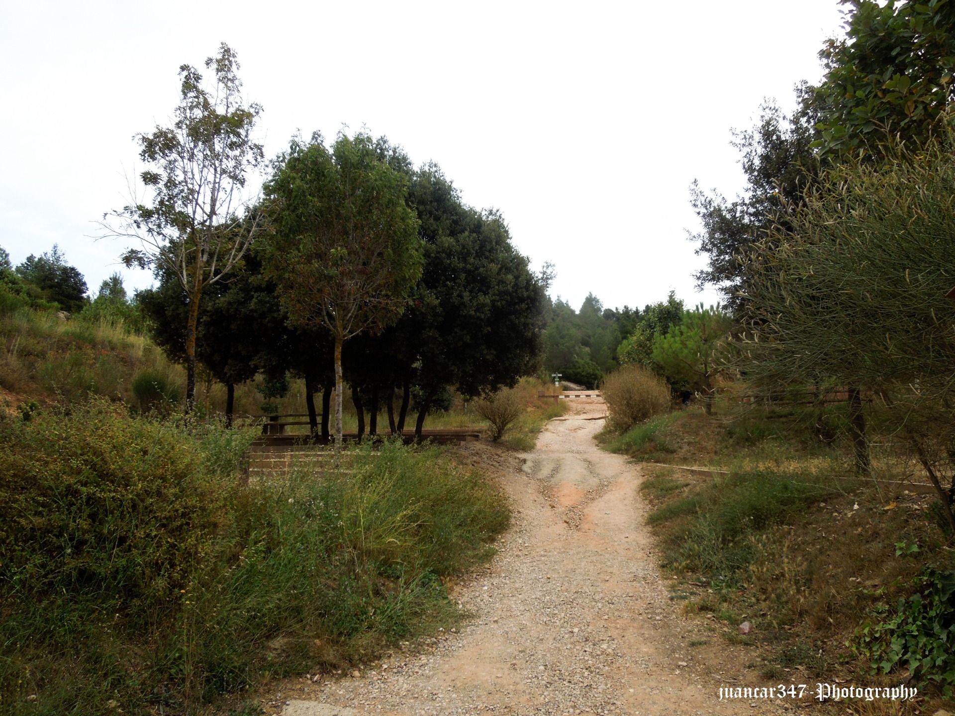 Camí de les Batalles, panorámica