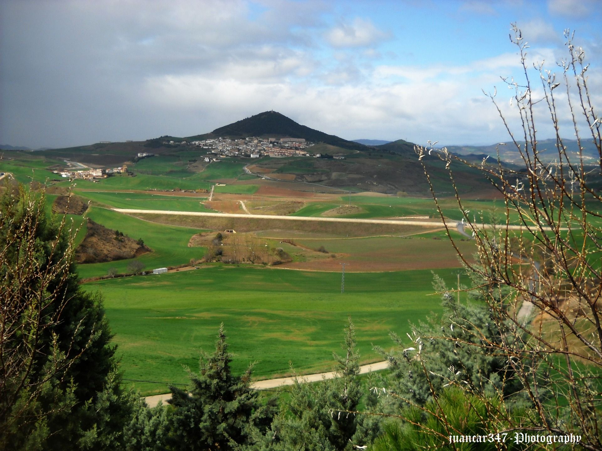 Panoramic