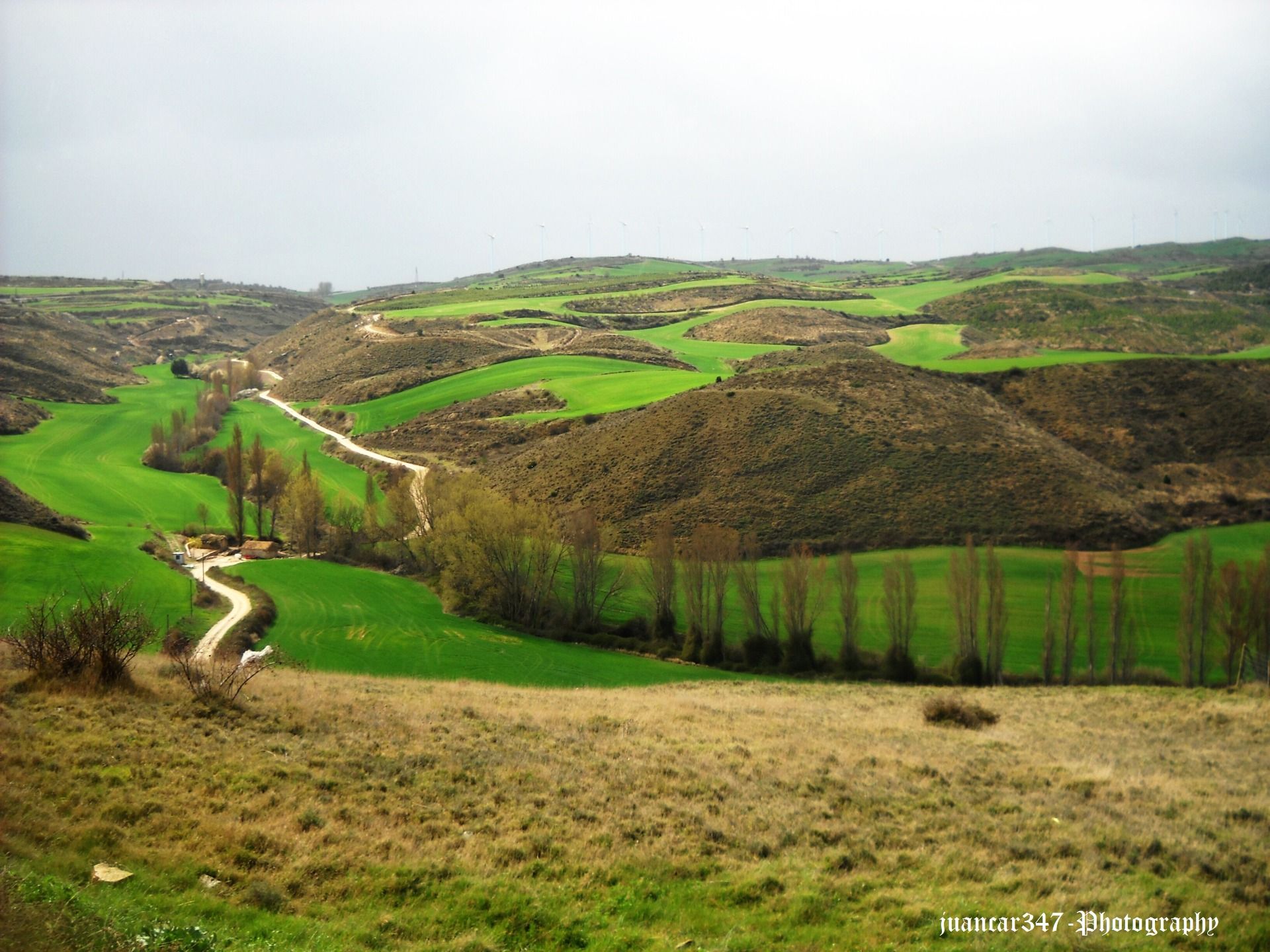 Another panoramic of Navarrese fields