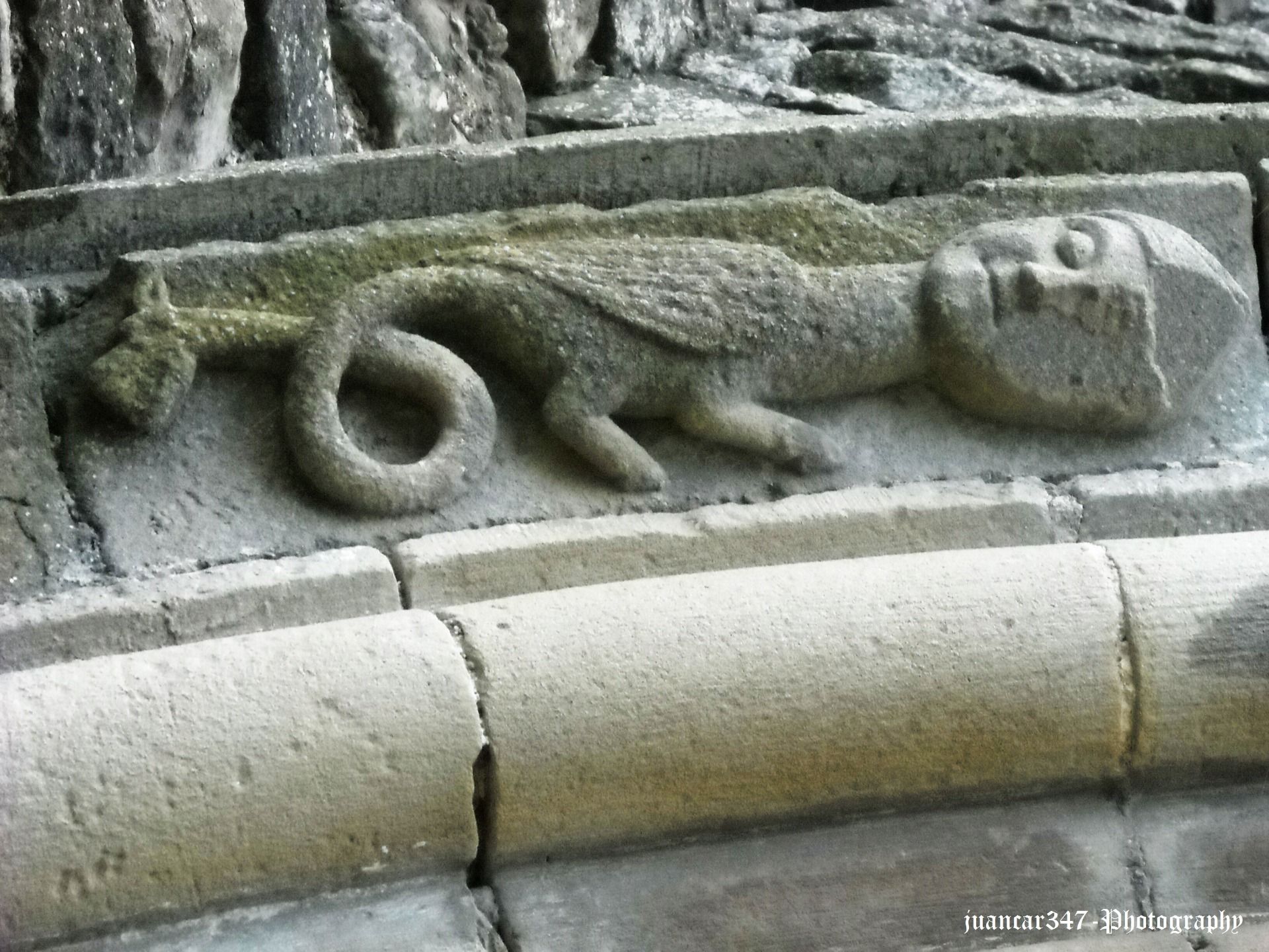 Another harpy: note her dragon-headed tail