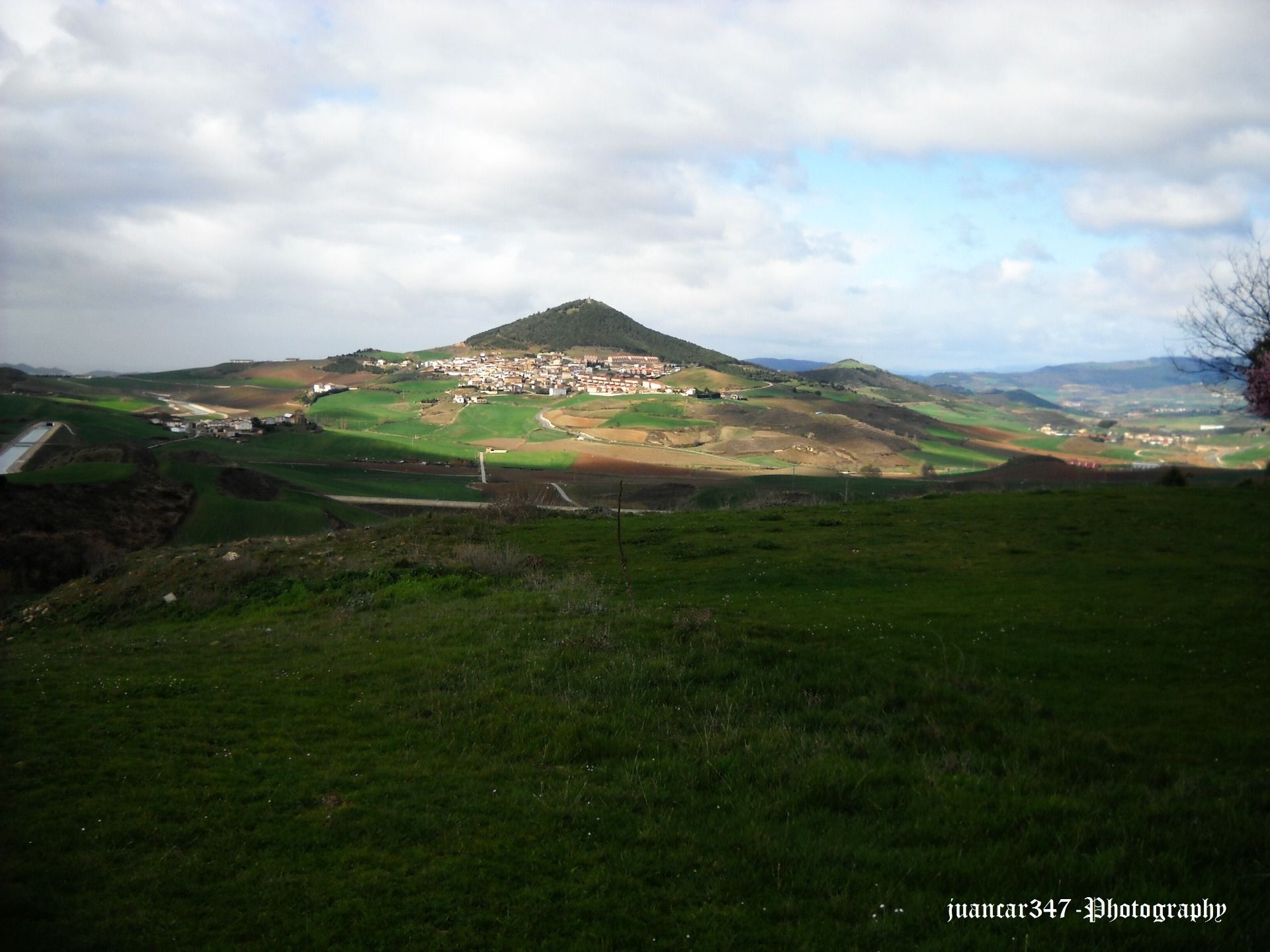 Panoramic
