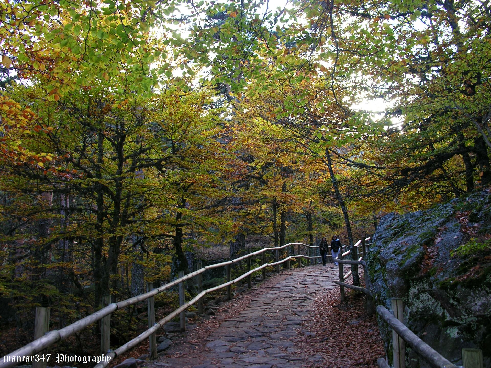 The unknown Soria: the environment of Urbión

