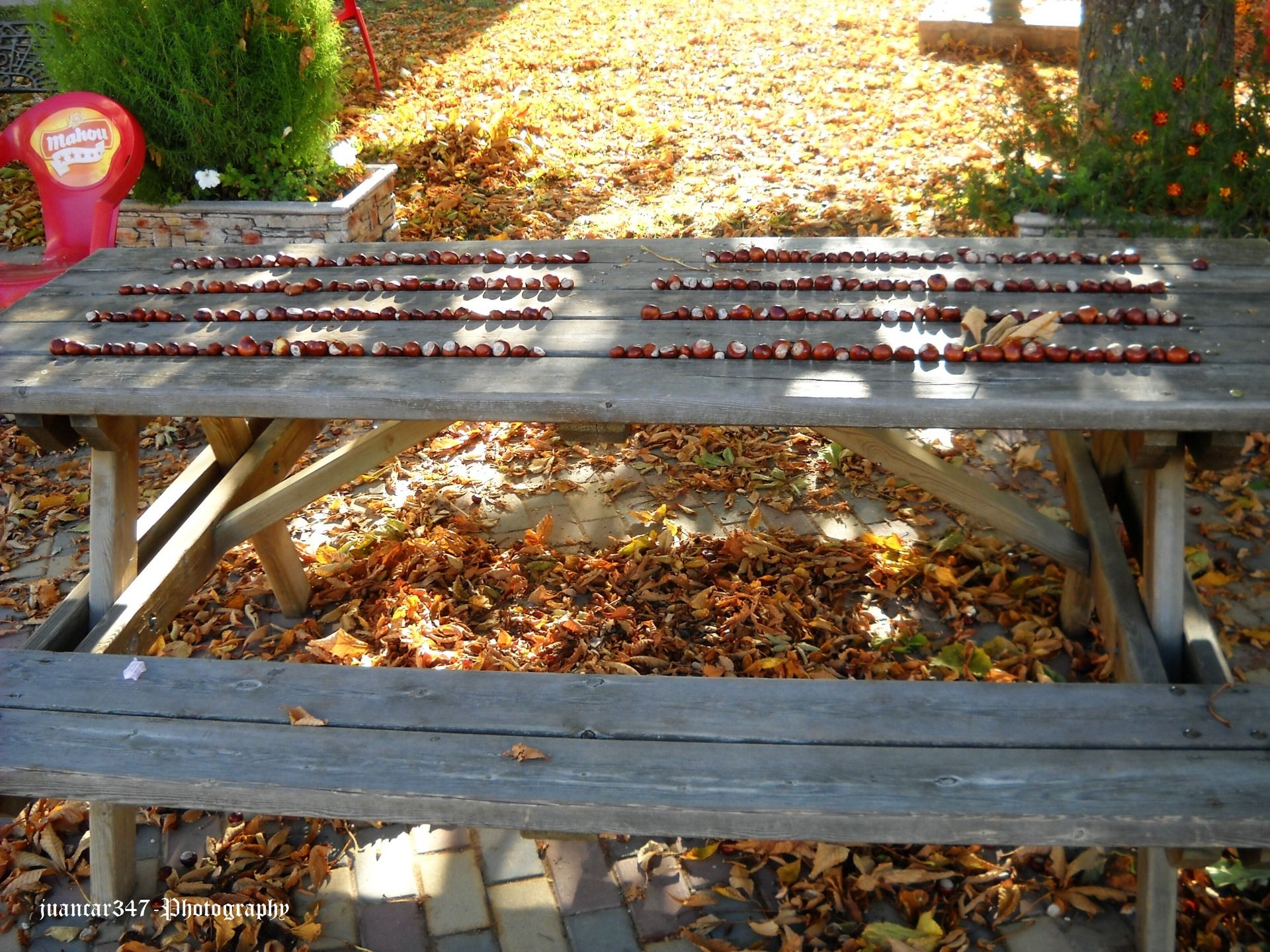 Another fruit of the region: the chestnut