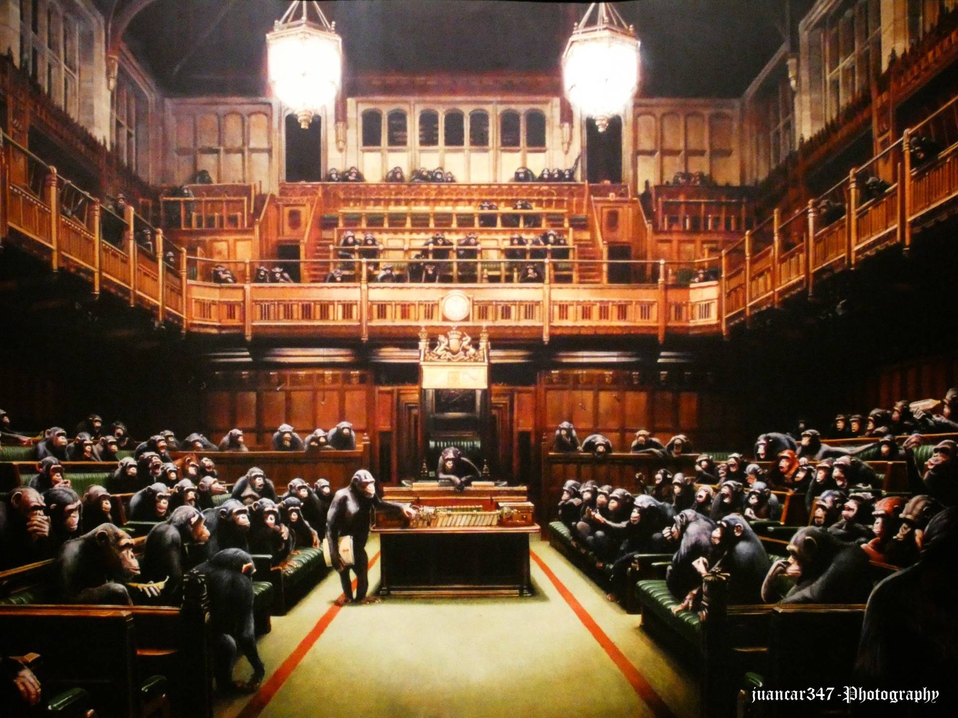 Without words: Parliament of monkeys