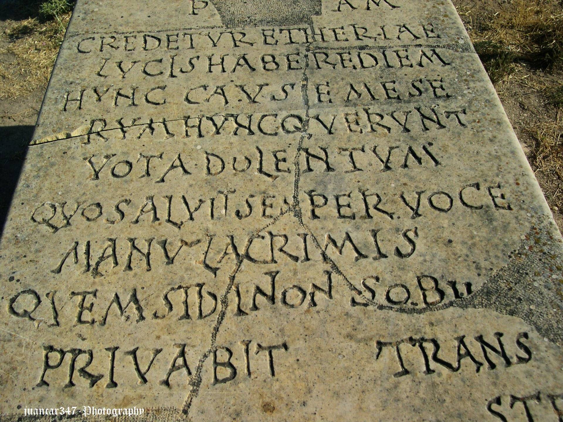 Gravestone with Latin characters