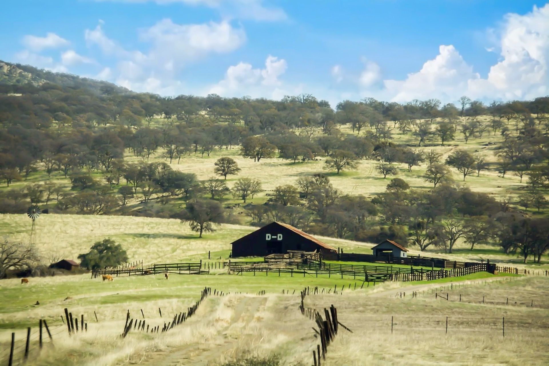 Road Trip in the US & Windmills - “green energy” in the US 
