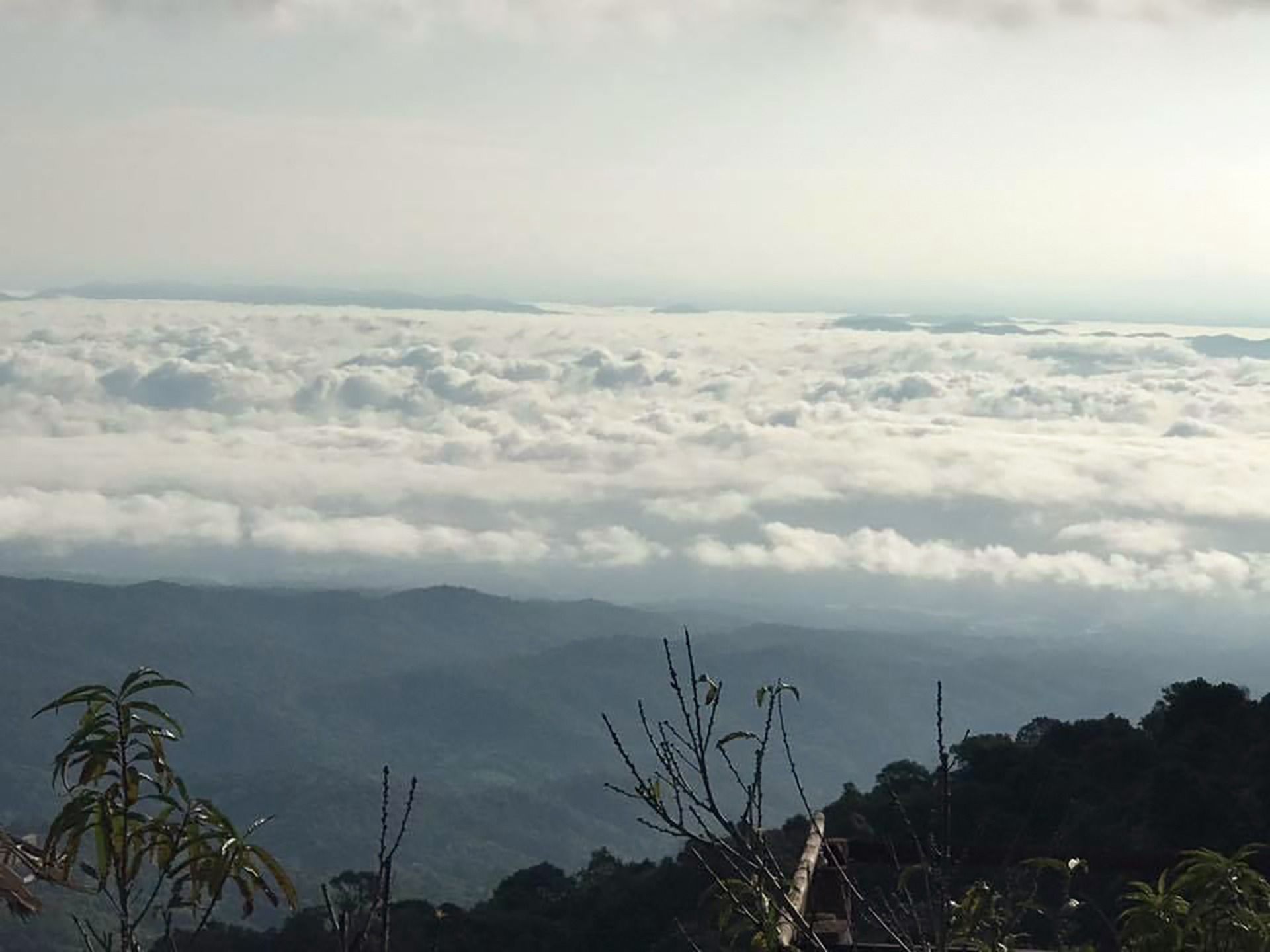 foggy-8.jpg