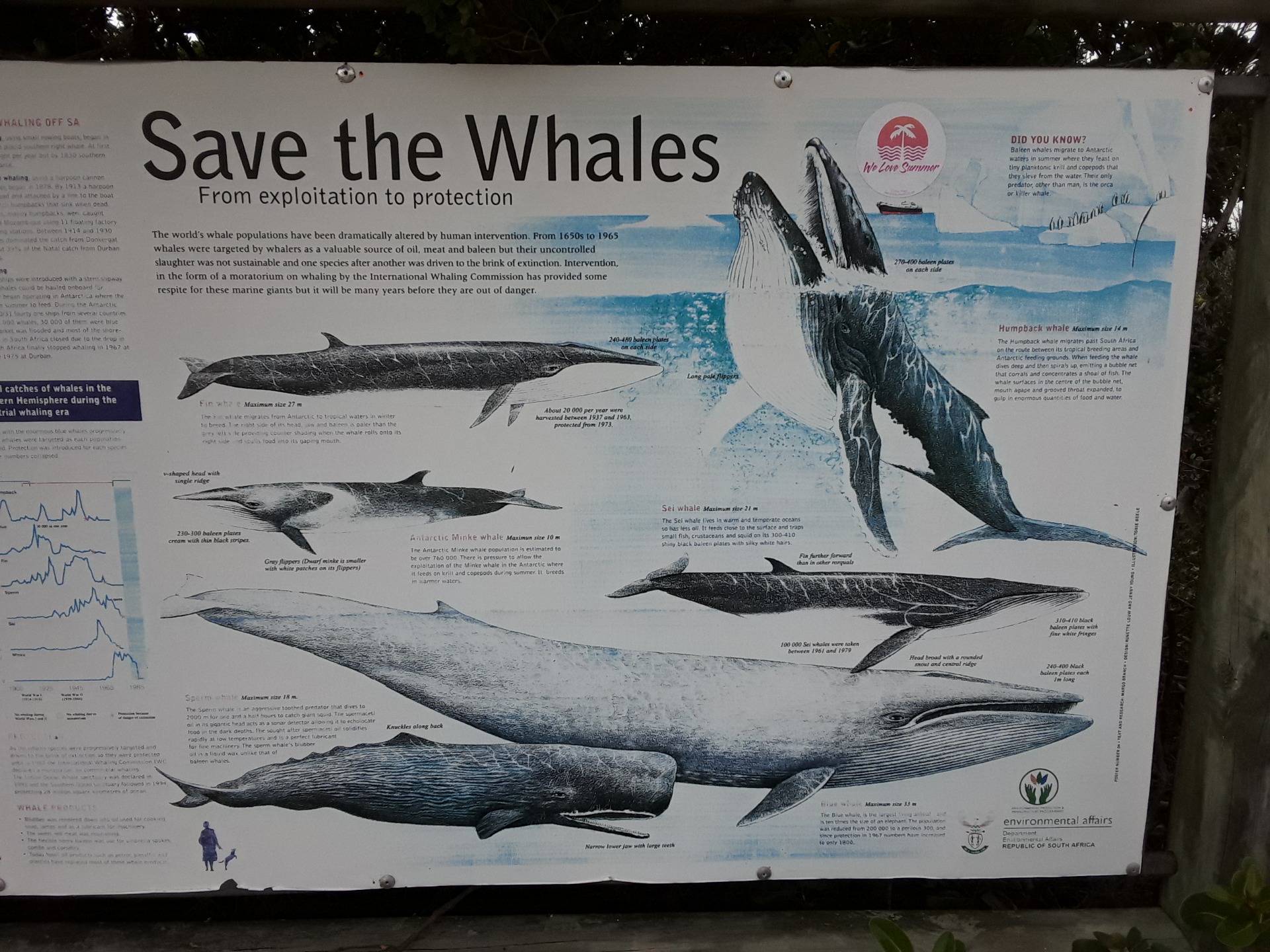 An info board at the whale watching site