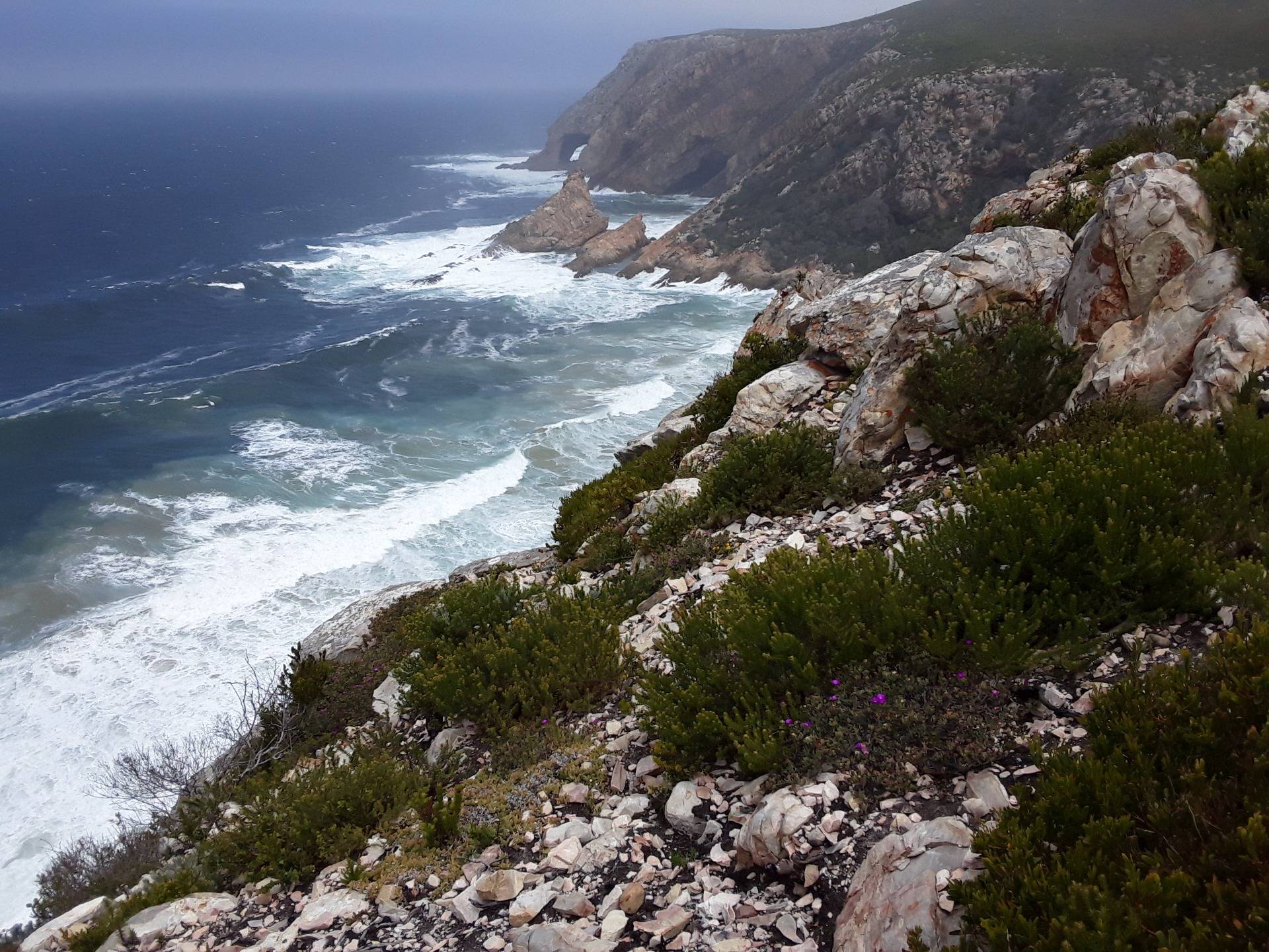 The caves of Captain Kidd on the shores of Cape south coast of Africa?