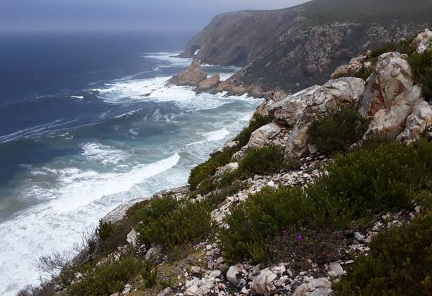 The caves of Captain Kidd on the shores of Cape south coast of Africa?
