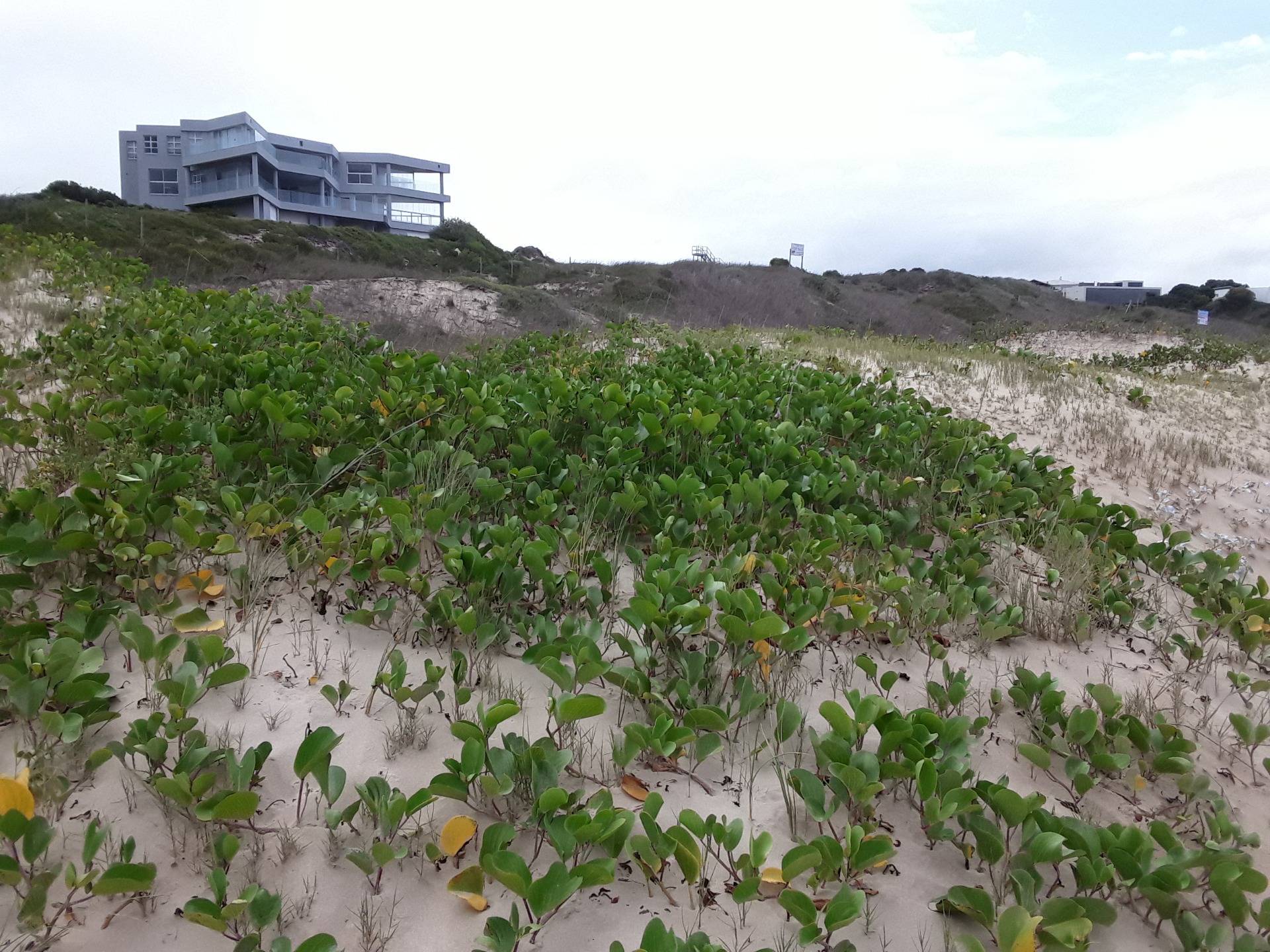 Curious mansions on the beachfront on Robberg beach