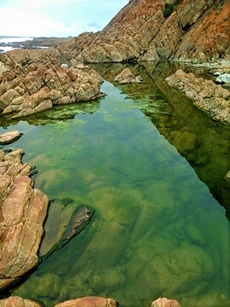 Green mossy pools on the shoreline with rick underwater sea life