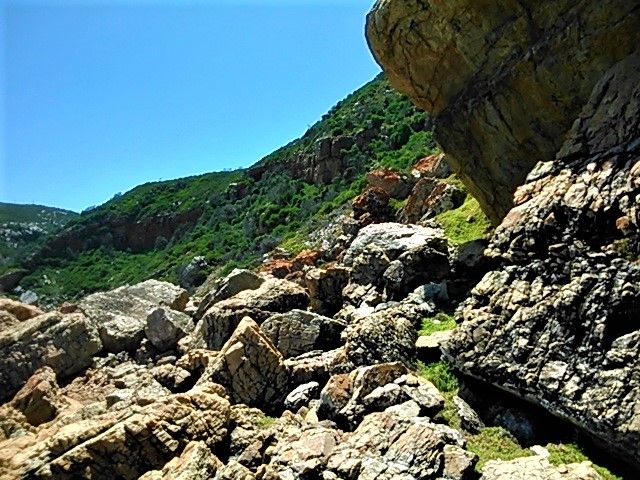 A great view of the walls of green sloping down to the shoreline