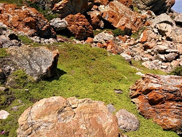 A lush green ground cover makes the place look very inviting, despite the imposing and rugged rock