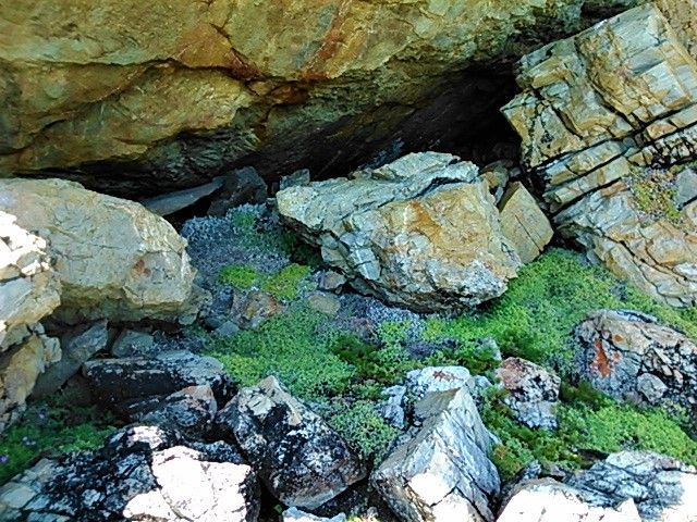 Here’s a little cave to take shelter with its own green carpet and a perfect view of the the sea