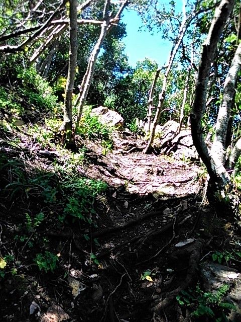 A path for a change...usually I have to find my own way across wild terrain