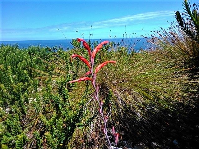 Life at sea can be risky so I stick to the land