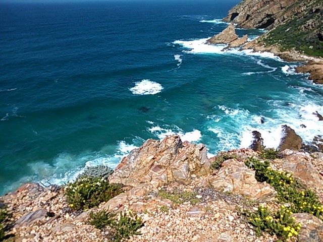 Exploring the hidden side of South Africa’s Robberg peninsula seal colony where the dolphins sport  