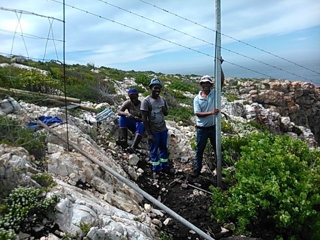 Some of the team assisting Kei at the Robberg Coastal Corridor in protecting and preserving the indigenous flora and fauna.
