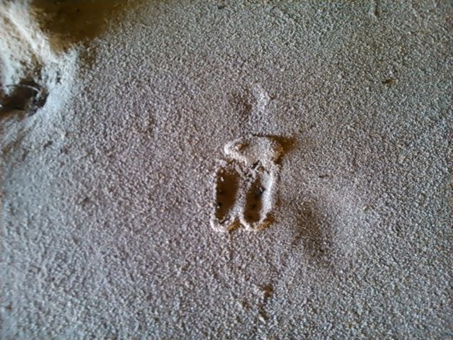 Is it a footprint of a local deer or what made this impression in the cavern?