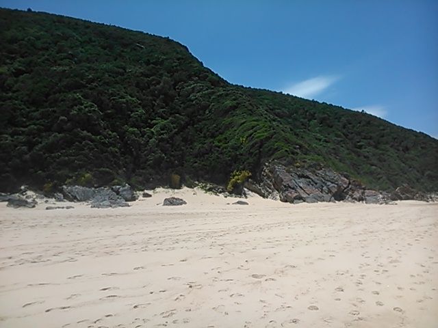 Lush green vegetation meets sparkling white sandy beach with the sea just to the right.