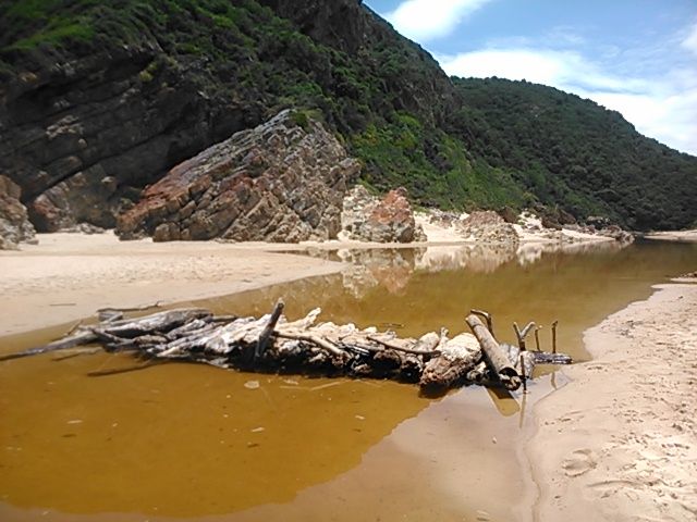 A little driftwood bridge over a token gesture of a stream