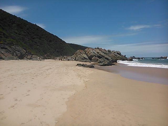 Notice the thick green dense vegetation that brings the tropical island feel to this part of the shoreline